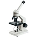 Microscope Junior 40x400