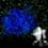 Laser Stars Laser Stars