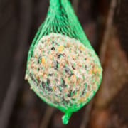 Boule de graisse