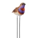Hygromètre oiseau