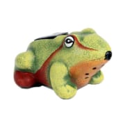 Grenouille solaire de Bienvenue