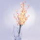 Bouquet d’orchidées lumineuses