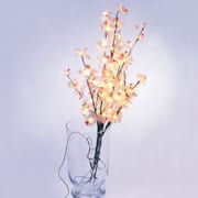 Bouquet d’orchidées lumineuses