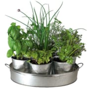 Le plateau d'aromates