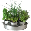 Le plateau d'aromatiques