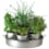 Le plateau d'aromates