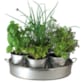 Le plateau d'aromates