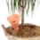 Set 2 irrigateurs terre cuite