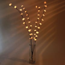 Branches lumineuses avec vase