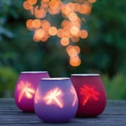 Photophore ombre libellule