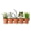 Jardinière cosse de petits pois