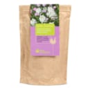 Graines pour jardin d'ombre