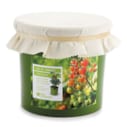 Pot de tomates cerises bio*