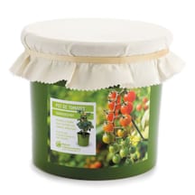 Pot de tomates cerises bio*
