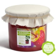 Pot de fraises des bois