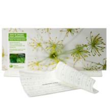 Tapis de graines fines herbes