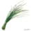 Ciseaux aromatiques et graines