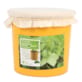 Pot de mini concombres Melothria 15 cm