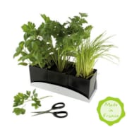 Jardinière d'aromates bio*