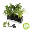 Jardinière d'aromates bio*