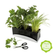 Jardinière d'aromates bio*