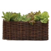 Plessis à planter 