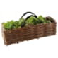 Jardinière de mesclun