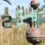 Girouette coq en cuivre