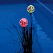 Coeur de Dahlia solaire