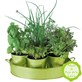 Plateau de 7 aromates vert