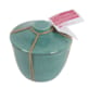Pot en terre citronnelle