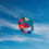 Cerf-volant Flip Cerf-volant Flip