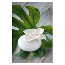Diffuseur de parfum fleur 