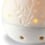Diffuseur de parfum esquisse végétale