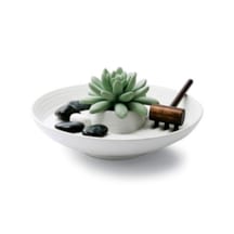 Jardin zen des senteurs