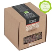 Cocktail de plantes Zeste de Karkadé