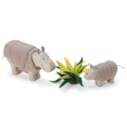 Rhinocéros bois