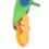 Arche d'activités Petites bêtes Babysun