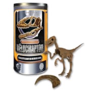 Squelette géant Velociraptor