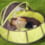 Aire de jeu pop-up Babymoov