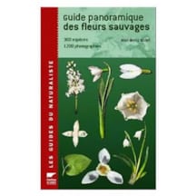 Guide panoramique des fleurs sauvages