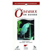 Où voir les oiseaux en Suisse