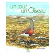 Un jour, un oiseau