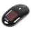 Souris solaire Souris solaire