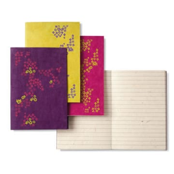 Carnets souvenirs du Japon 