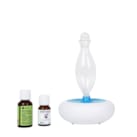 Diffuseur Nelia et synergie purifiante
