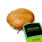 Savon basilic, palmarosa & ylang-ylang