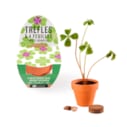 Mini kit trèfle