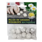 Billes de graines de marguerites