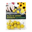 Billes de graines de fleurs de moisson
